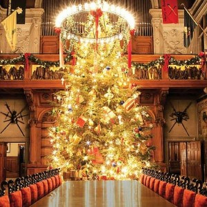Biltmore House Christmas Decorations