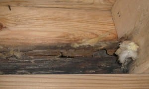 Rotting band sill caused by improper flashing and water entry around door thresholds