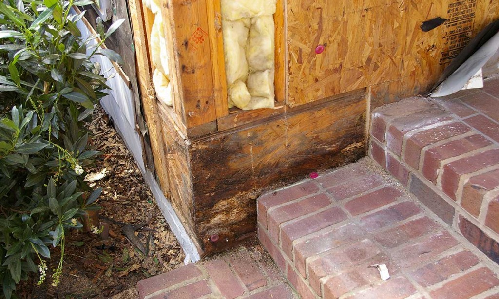 Plywood rot – before repair