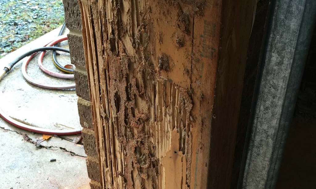 Garage wood rot – before repair