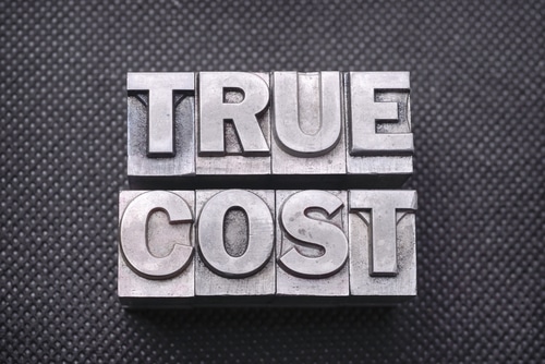 True Cost graphic