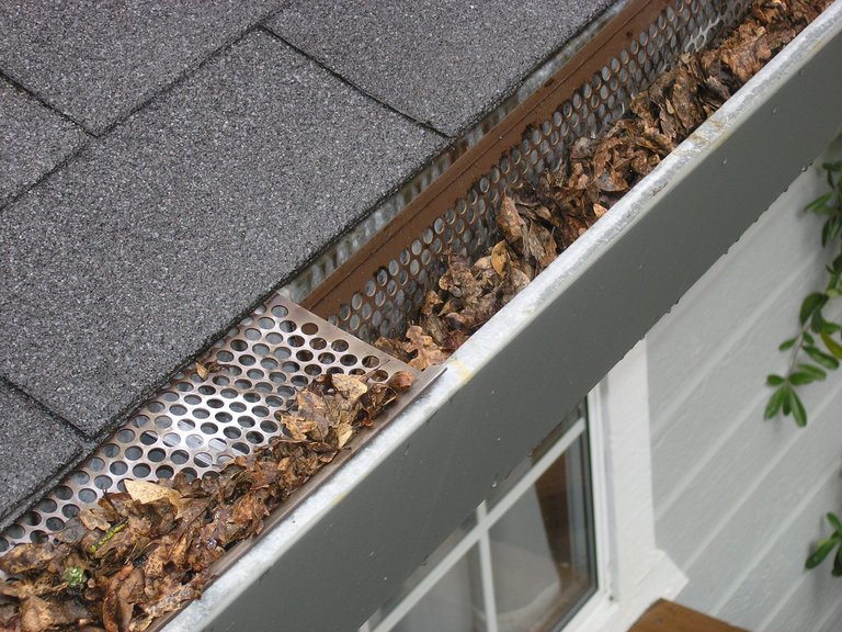 picture of gutter with leaves