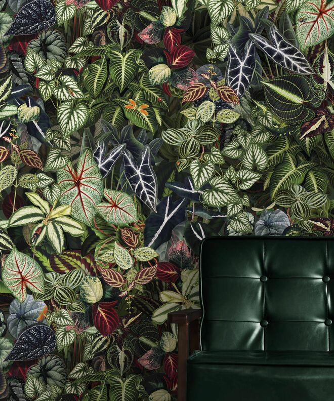jungle wallpaper