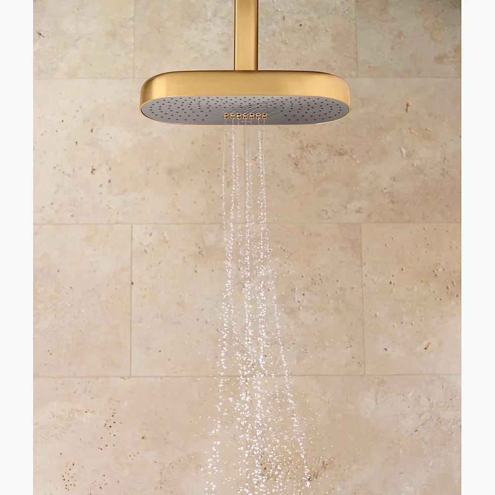 gold rain shower head