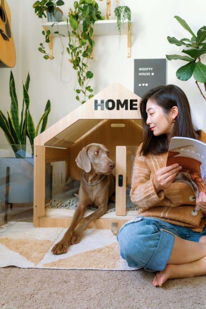 Woman reading a magazine beside her Weimaraner resting in a modern wooden indoor dog house